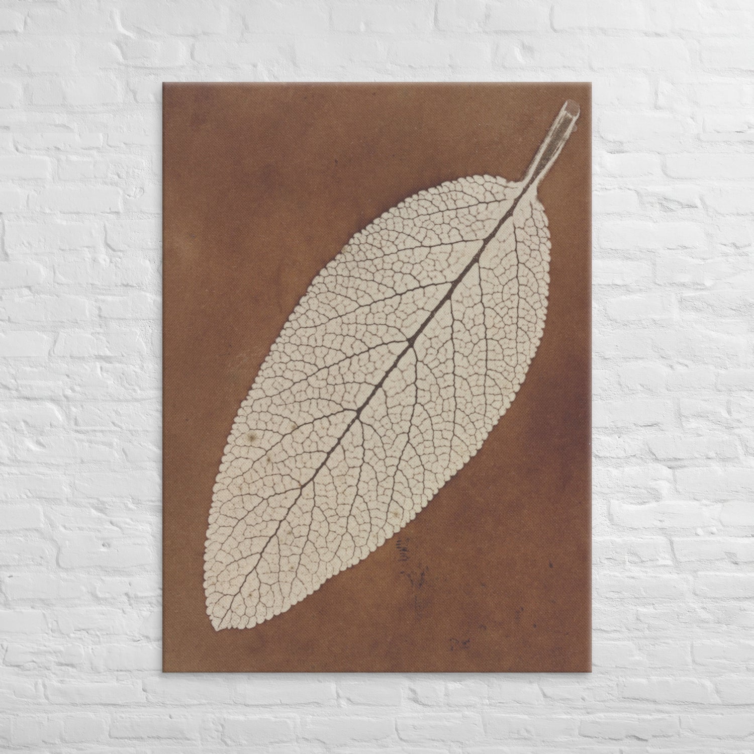 William Henry Fox Talbot, Leaf Study, 1839, Canvas