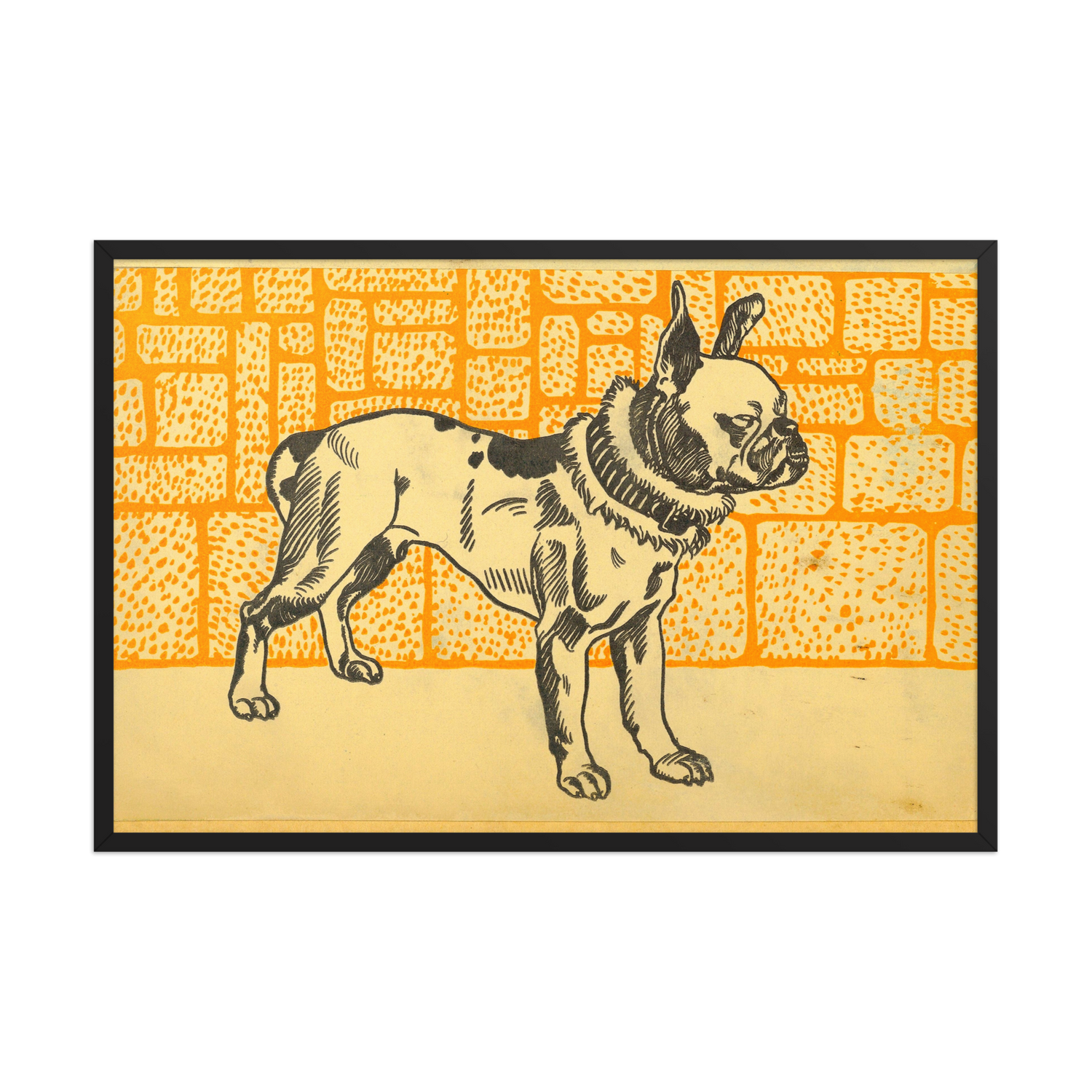 Moriz Jung, Pitbull Terrier, 1912, Framed