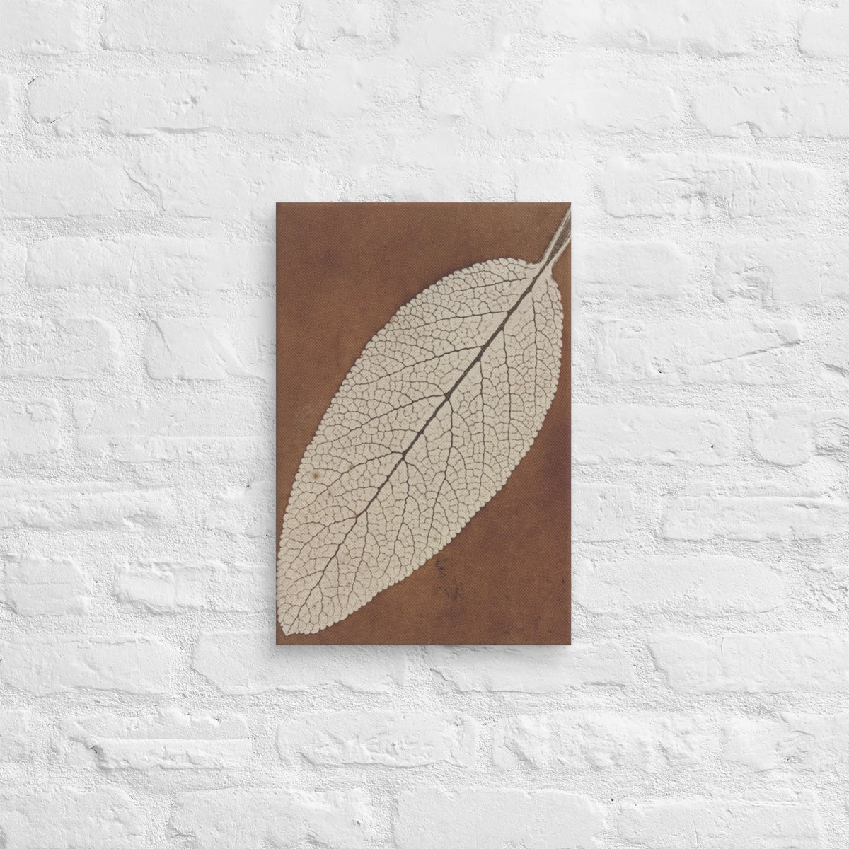 William Henry Fox Talbot, Leaf Study, 1839, Canvas