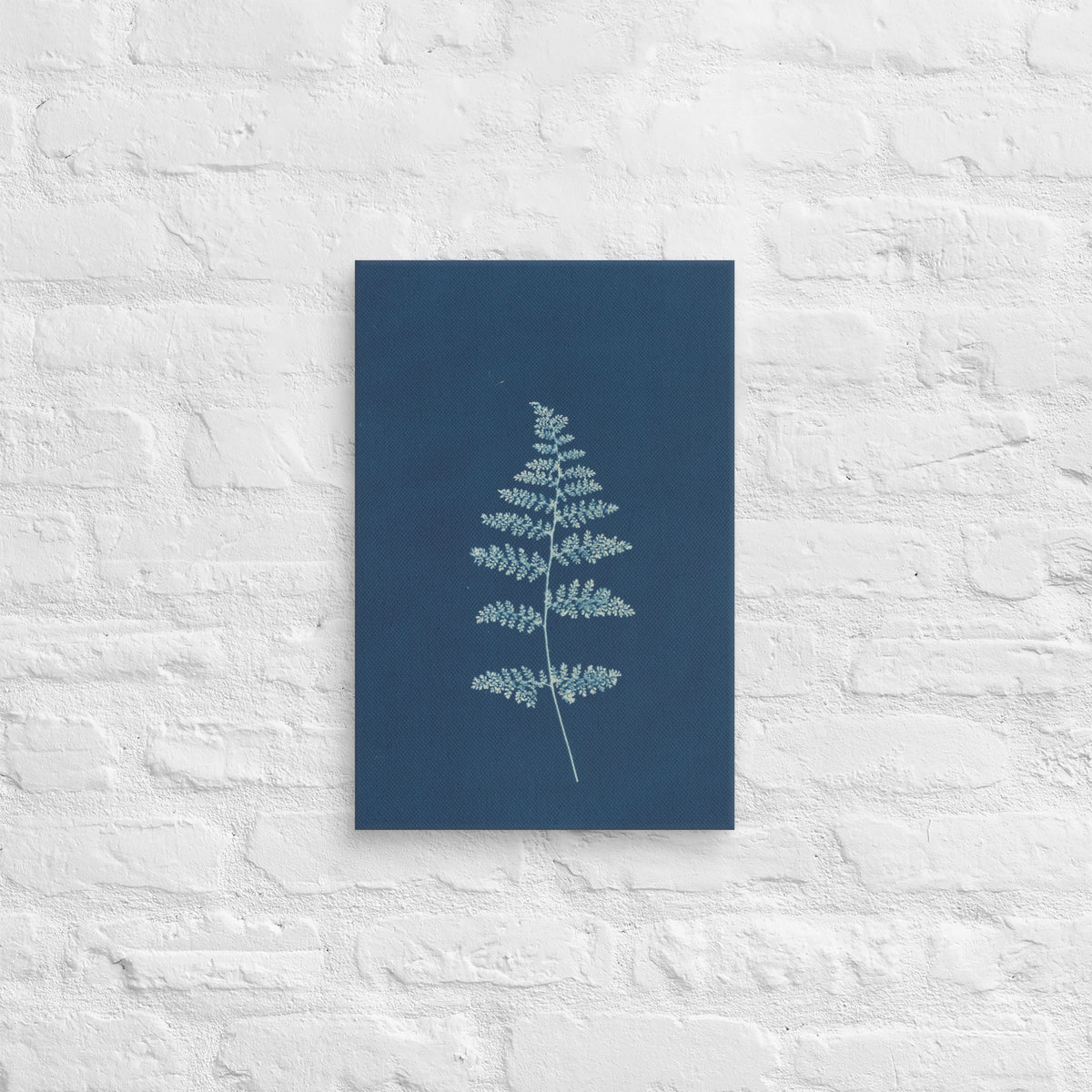 Anna Atkins, Hothocleana, 1850, Canvas