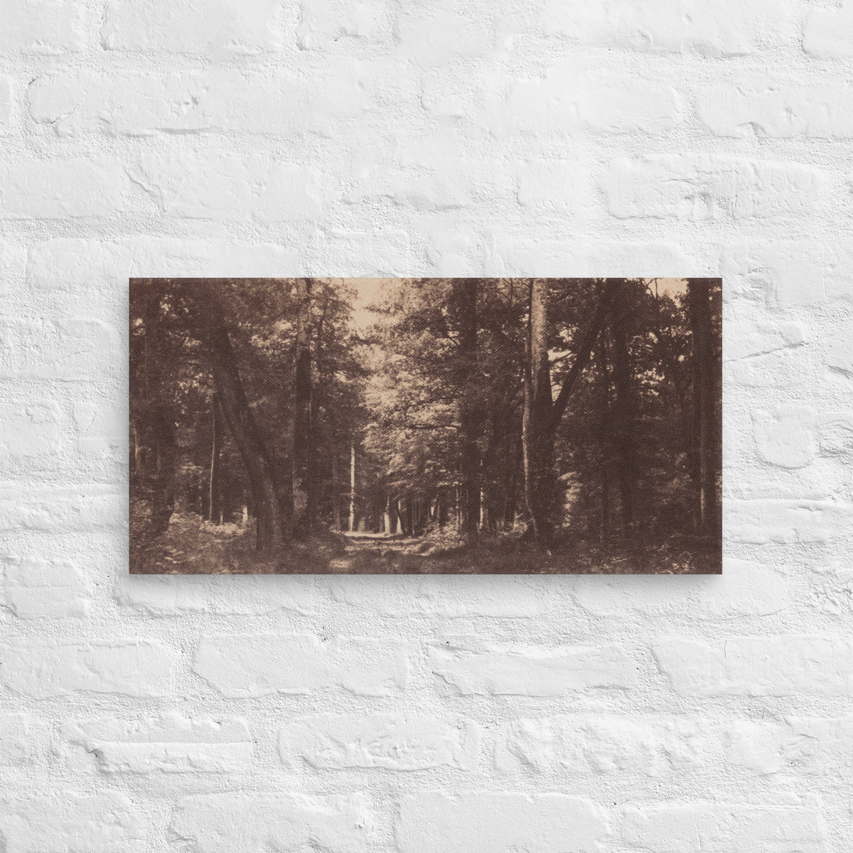 Gustave Le Gray, Bas Breau, Forest of Fontainebleau, 1852, Canvas