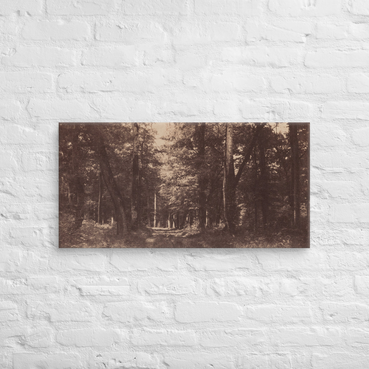 Gustave Le Gray, Bas Breau, Forest of Fontainebleau, 1852, Canvas