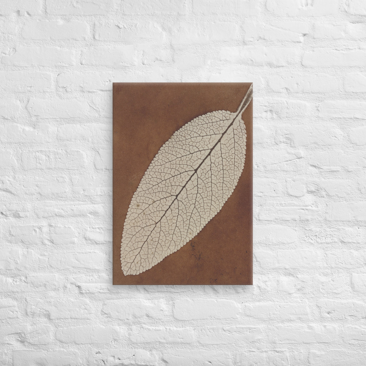 William Henry Fox Talbot, Leaf Study, 1839, Canvas