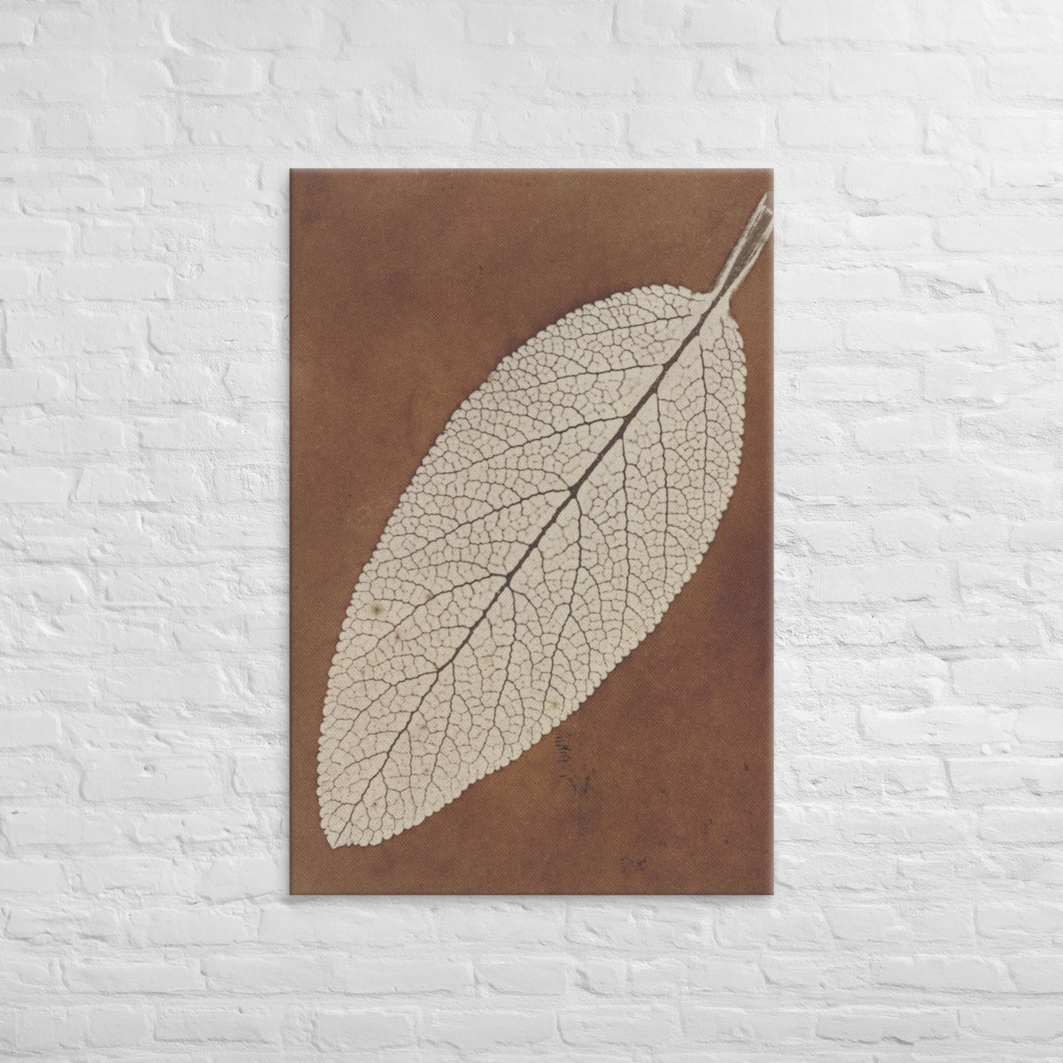 William Henry Fox Talbot, Leaf Study, 1839, Canvas