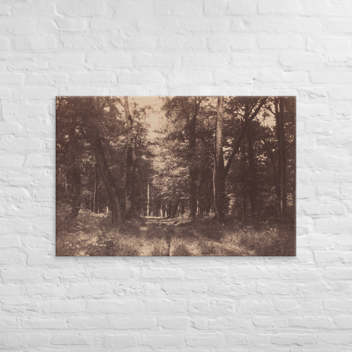 Gustave Le Gray, Bas Breau, Forest of Fontainebleau, 1852, Canvas