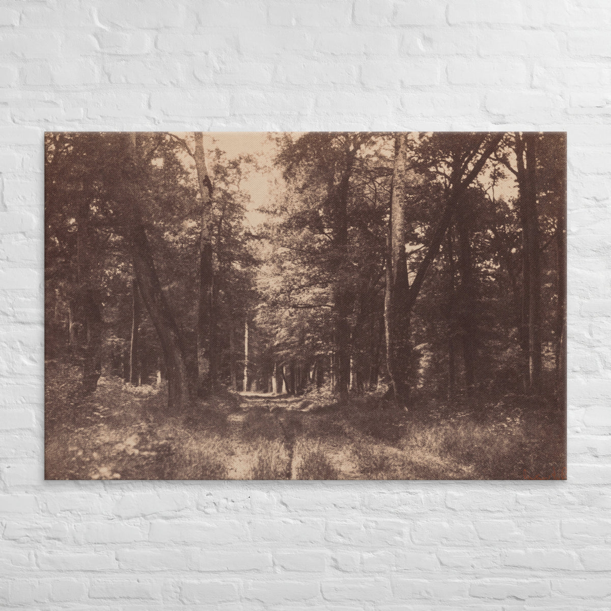 Gustave Le Gray, Bas Breau, Forest of Fontainebleau, 1852, Canvas