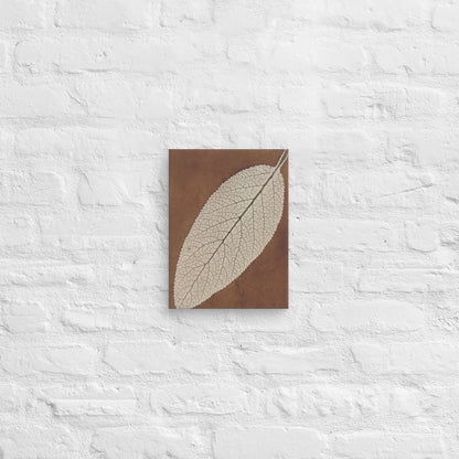 William Henry Fox Talbot, Leaf Study, 1839, Canvas