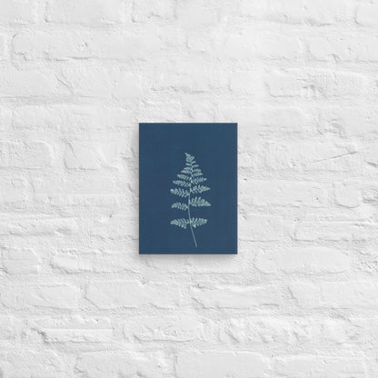 Anna Atkins, Hothocleana, 1850, Canvas