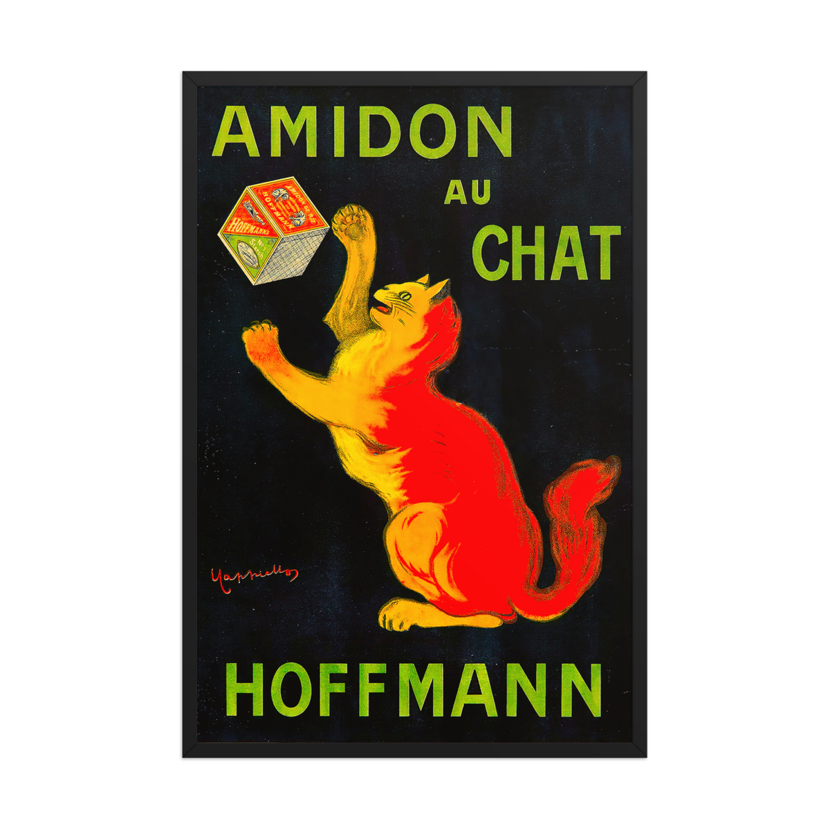 Leonetto Cappiello, Amidon Au Chat