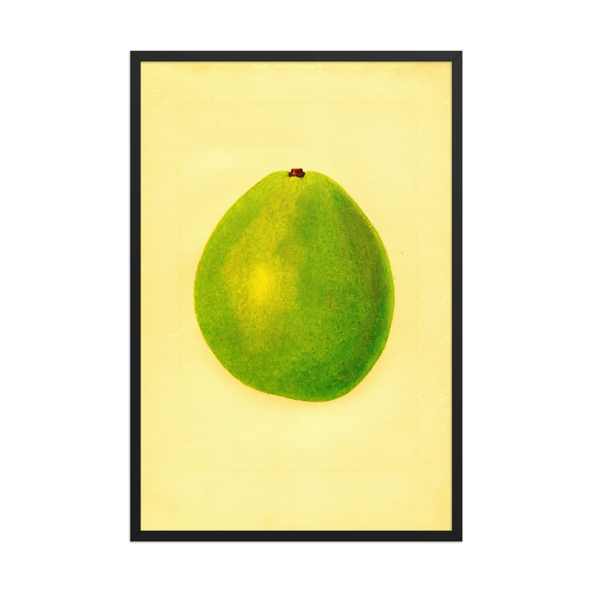 James Marion Shull, Persea Waldin, 1937, Framed